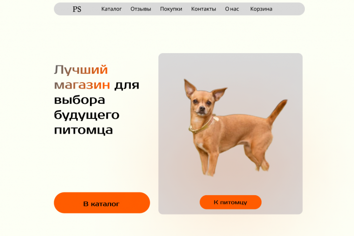 PetShop магазин питомцев