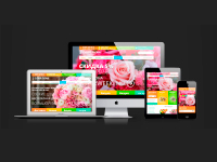 Webasyst Shop-Script. Служба доставки цветов Cyber-flora