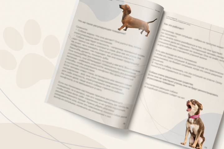 Дизайн гайда для кинолога-зоопсихолога