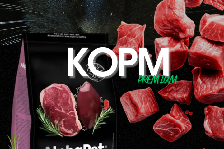 Корм для кошек