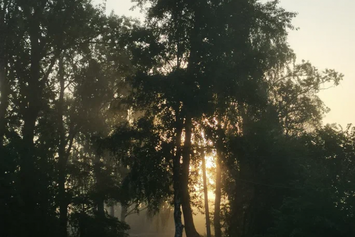 Раннее утро