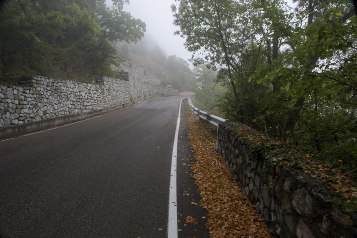 Предчувствие осени