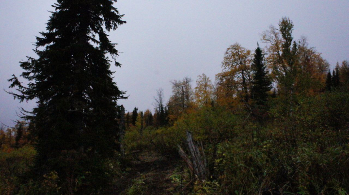 Фотографии природы