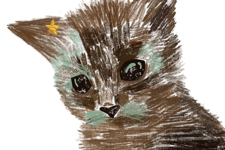 Котенок