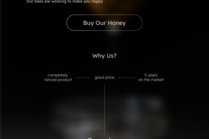 Honey, Landing Page (Работа для примера, без заказчика)
