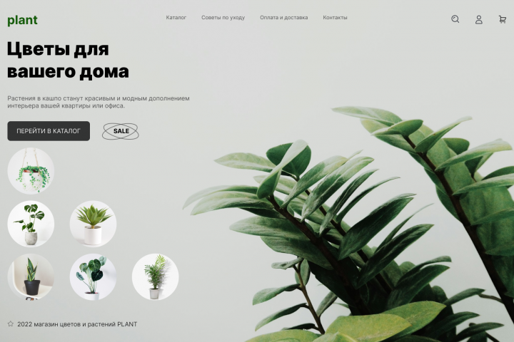 Цветы для вашего дома