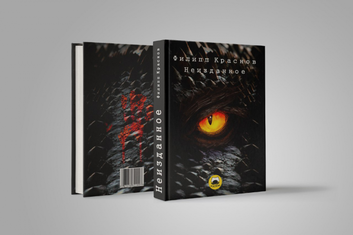 Дизайн обложки для книги