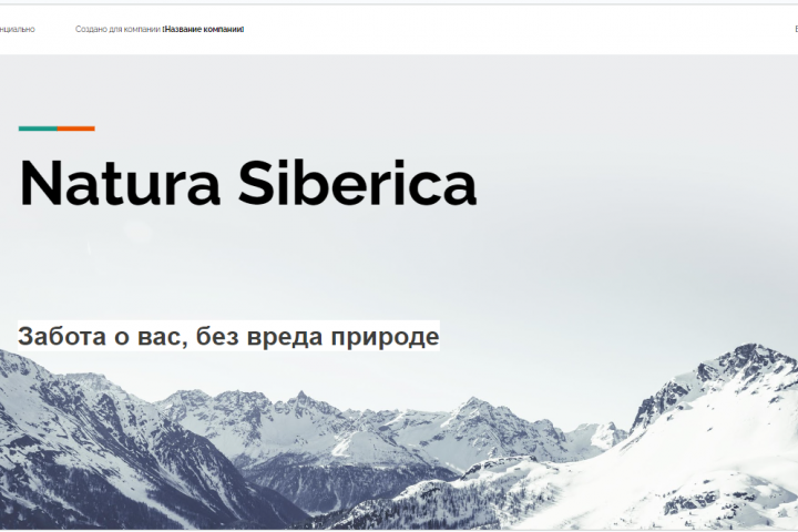Стратегия развития и анти-кризисный менеджмент NaturaSiberica