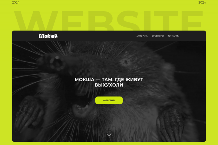 Многостаночный сайт на Tilda