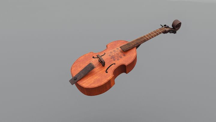 Bass Viola da Gamba