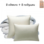 Баннер 2 - Акция