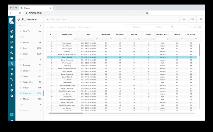 BIEI Browser — сервис гибкого представления данных