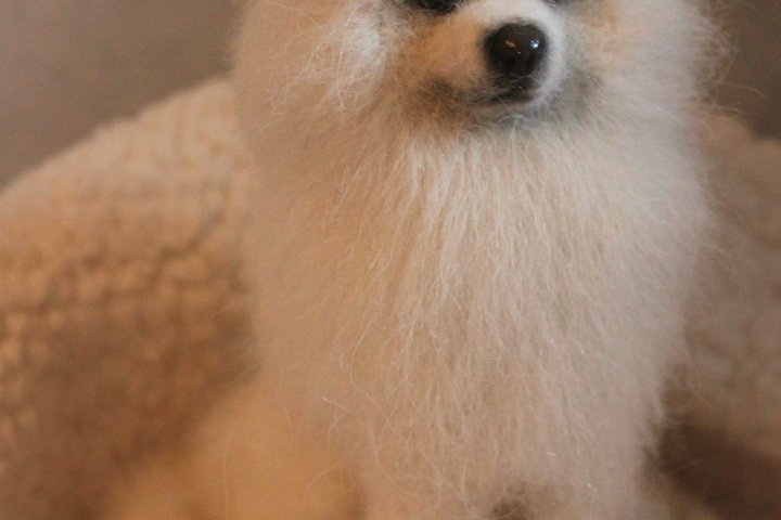 Игрушка в память об ушедшем четвероногом друге