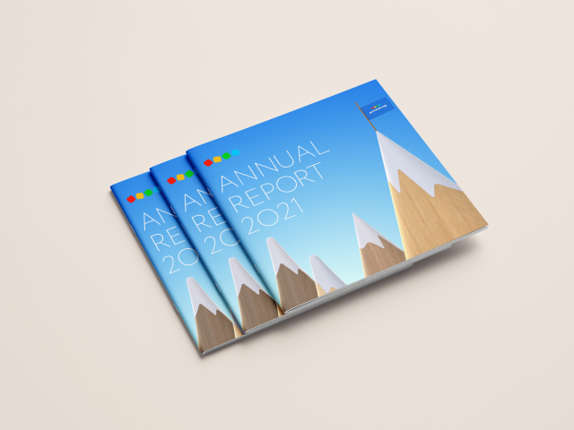 Годовой отчет для компании Детский мир