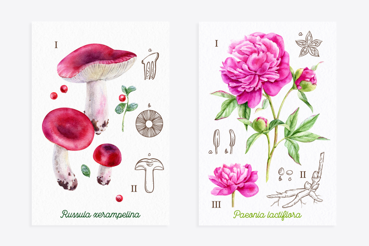 Акварельные открытки