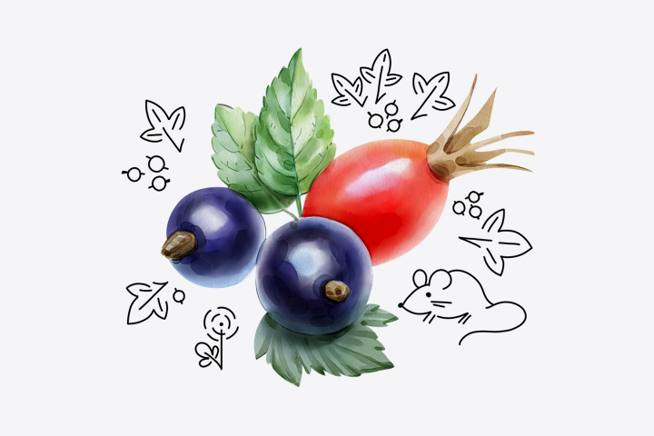 Иллюстрация для упаковки десерта