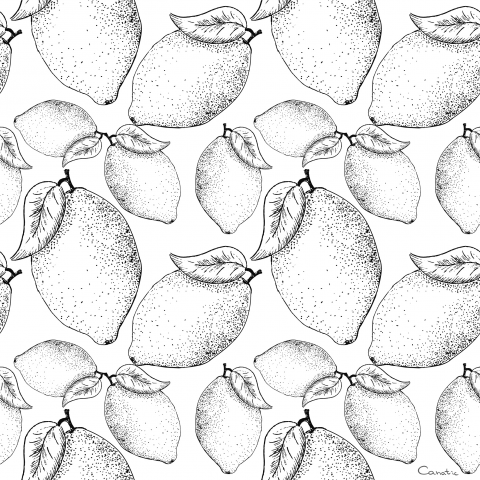 Паттерн лимоны