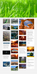 Дизайн блога - портфолио фотографа