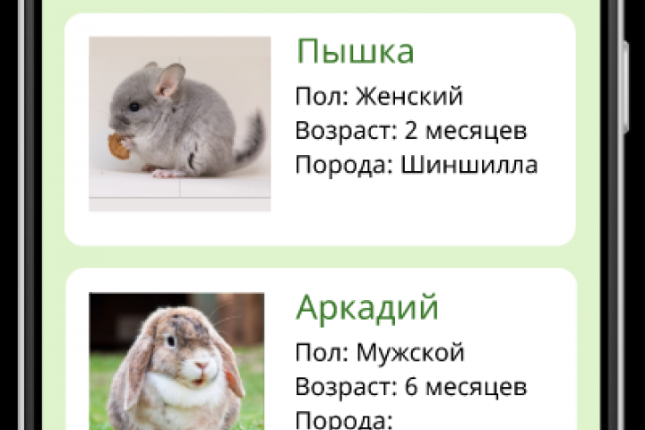 Приложение Rodents - Помощь грызунам