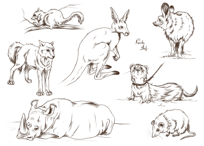 Работа 4359719