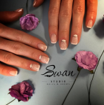 логотип Swan Studio