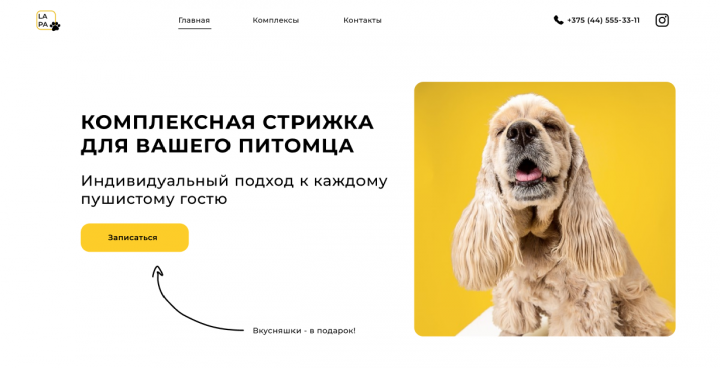 Лендинг