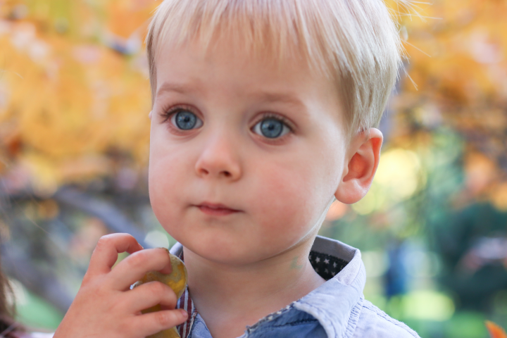 Коллеги по трусам