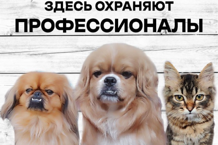 Табличка
