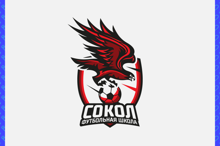 Футбольная школа "Сокол"
