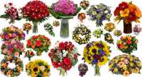 Вырезка букетов (160шт.)