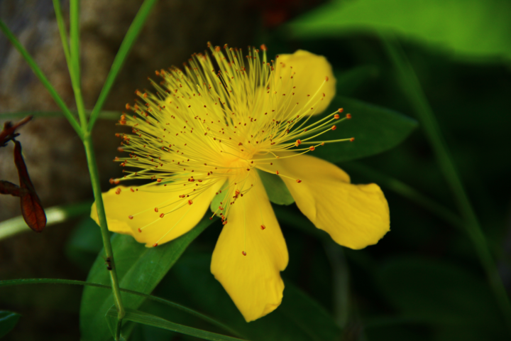 Работа 4032350