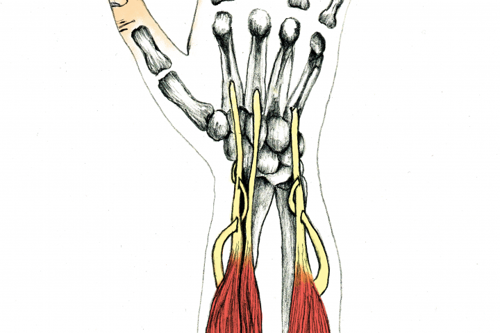 Медицинская иллюстрация