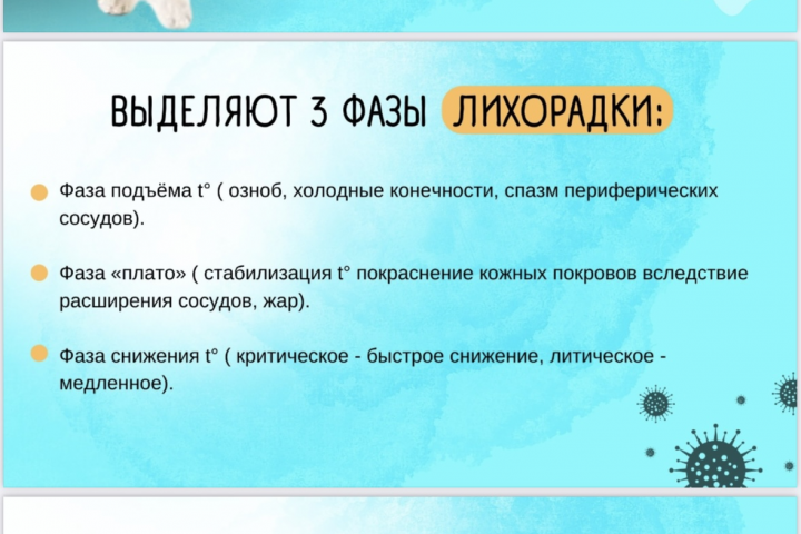 Гайды и презентации