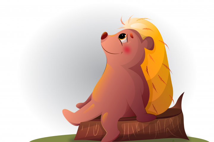 Солнечный ёжик