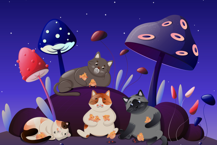 Коты в грибном лесу