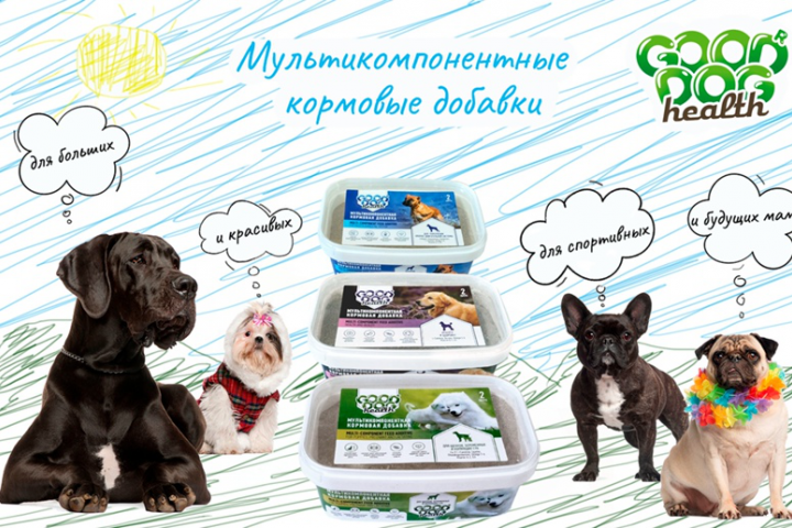 Рекламный баннер для e-mail рассылки и соцсетей