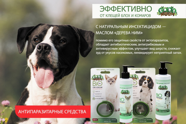Рекламный баннер для e-mail рассылки и соцсетей