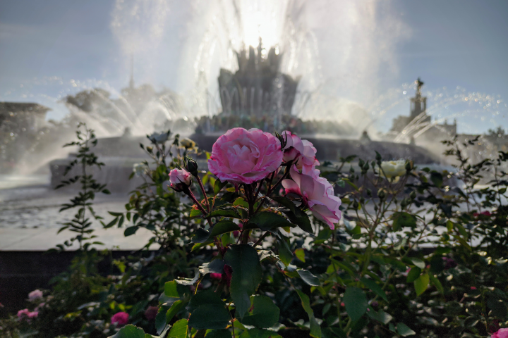 Ретушь фотографий