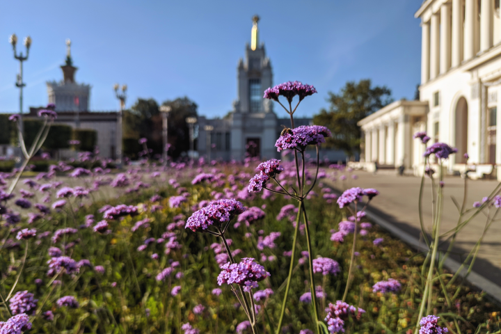 Ретушь фотографий