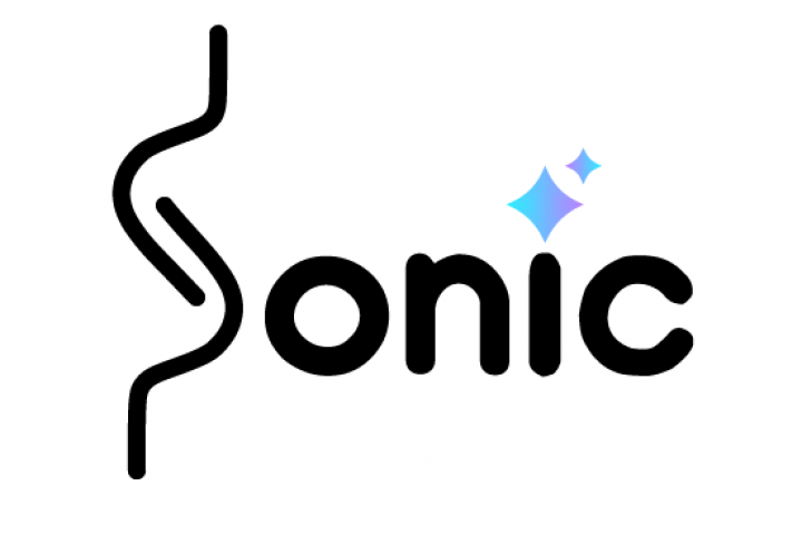 Логотип для "компании Sonic"
