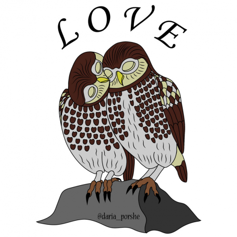 Принт совы