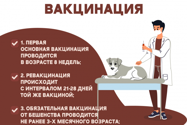 Обложка для постов  соц сетей