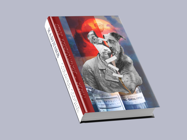 Обложка для книги