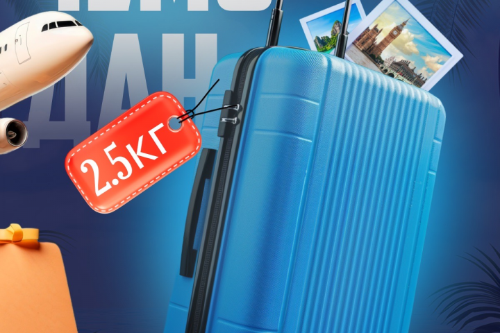 Инфографика «чемодан»