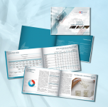 годовой отчет