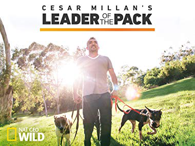 NATIONAL GEOGRAPHIC Cesar Millan's Leader Of The Pack: MilesToGo