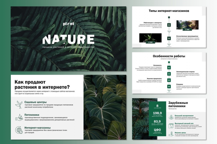 Дизайн презентации