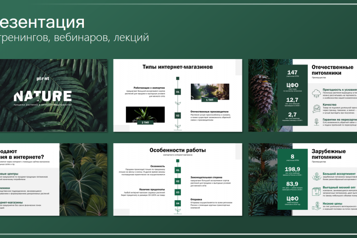 Презентация для вебинара/лекции