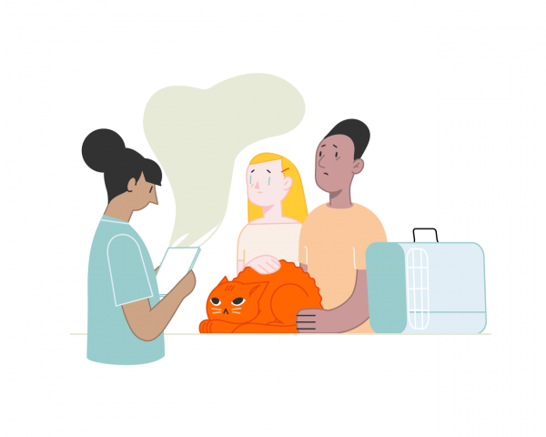 У ветеринара