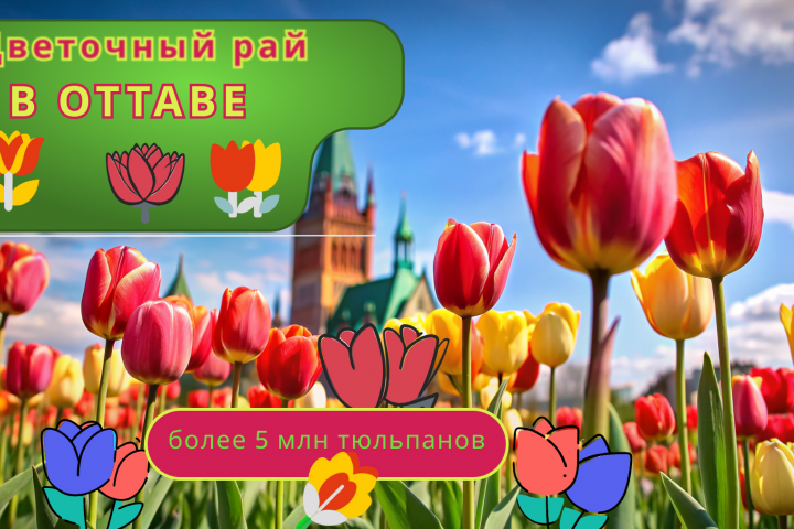 Видео